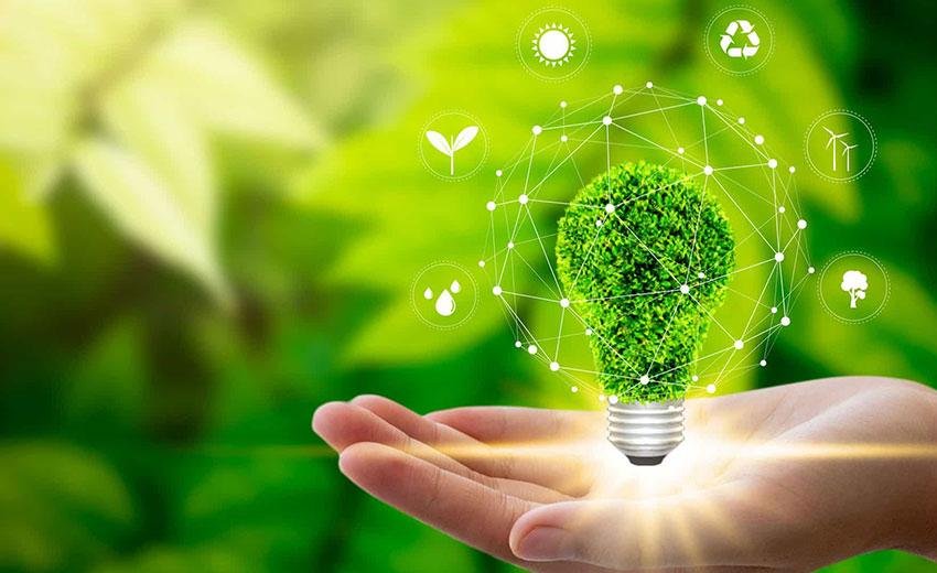 The Future of Sustainable Business: Why Companies Must Adapt Now